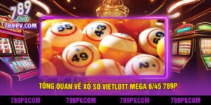 Tổng Quan Về Xổ Số Vietlott Mega 645 789P