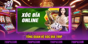 Tổng Quan Về Xóc Đĩa 789P